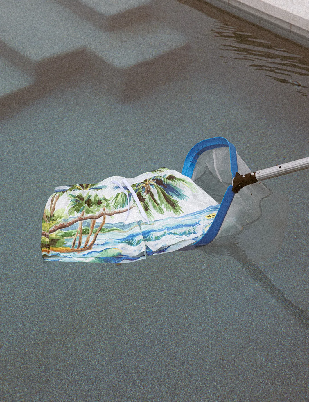 Postcard Swim Short sold by Duvin Design product image thumbnail 5