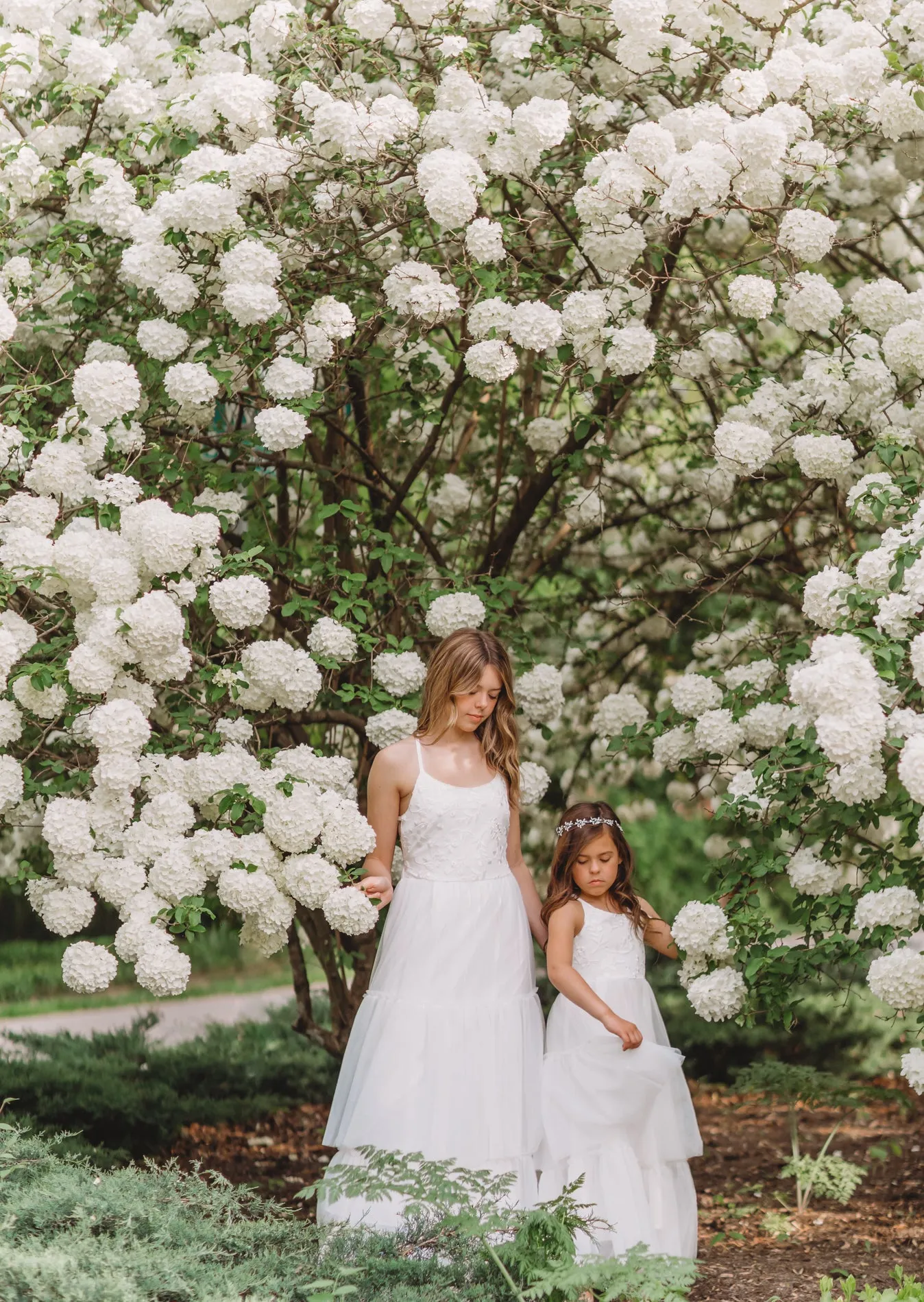 Women's Wendy Embroidered Dress (white tulle) sold by Indie Blue product image thumbnail 5