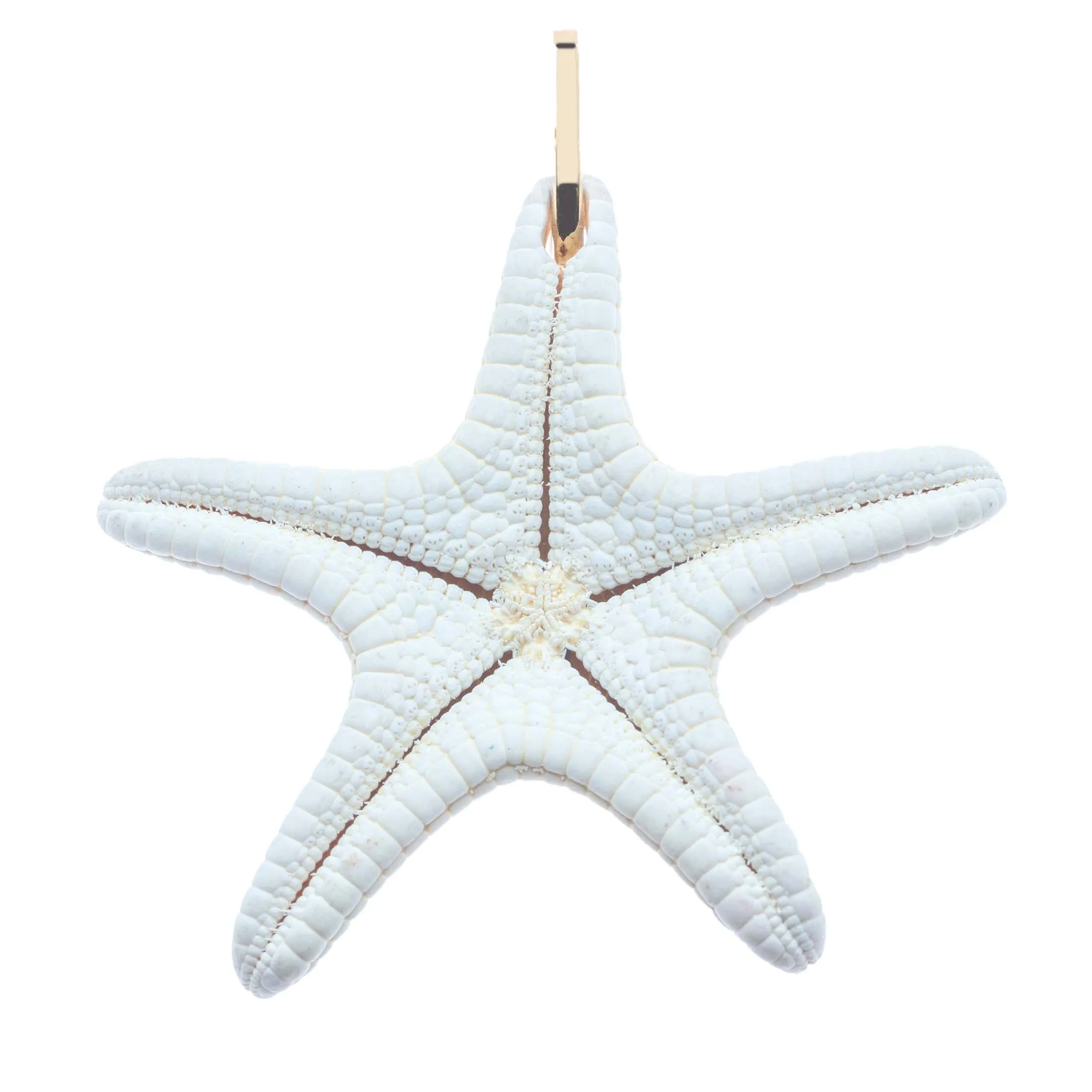 INSPIRATION Starfish Pendant sold by Jane Win product image thumbnail 3