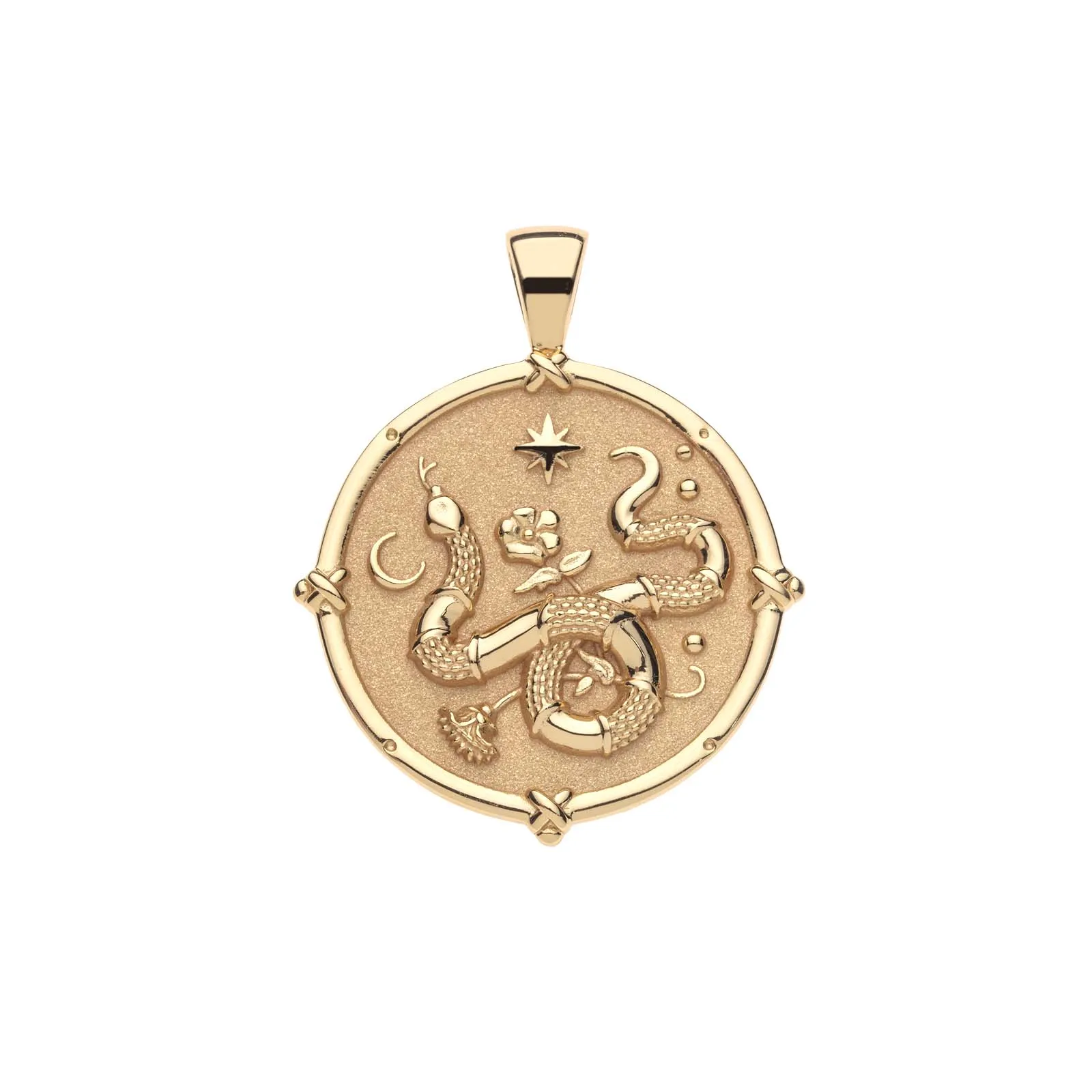 PROTECT Year of the Snake Pendant Coin sold by Jane Win