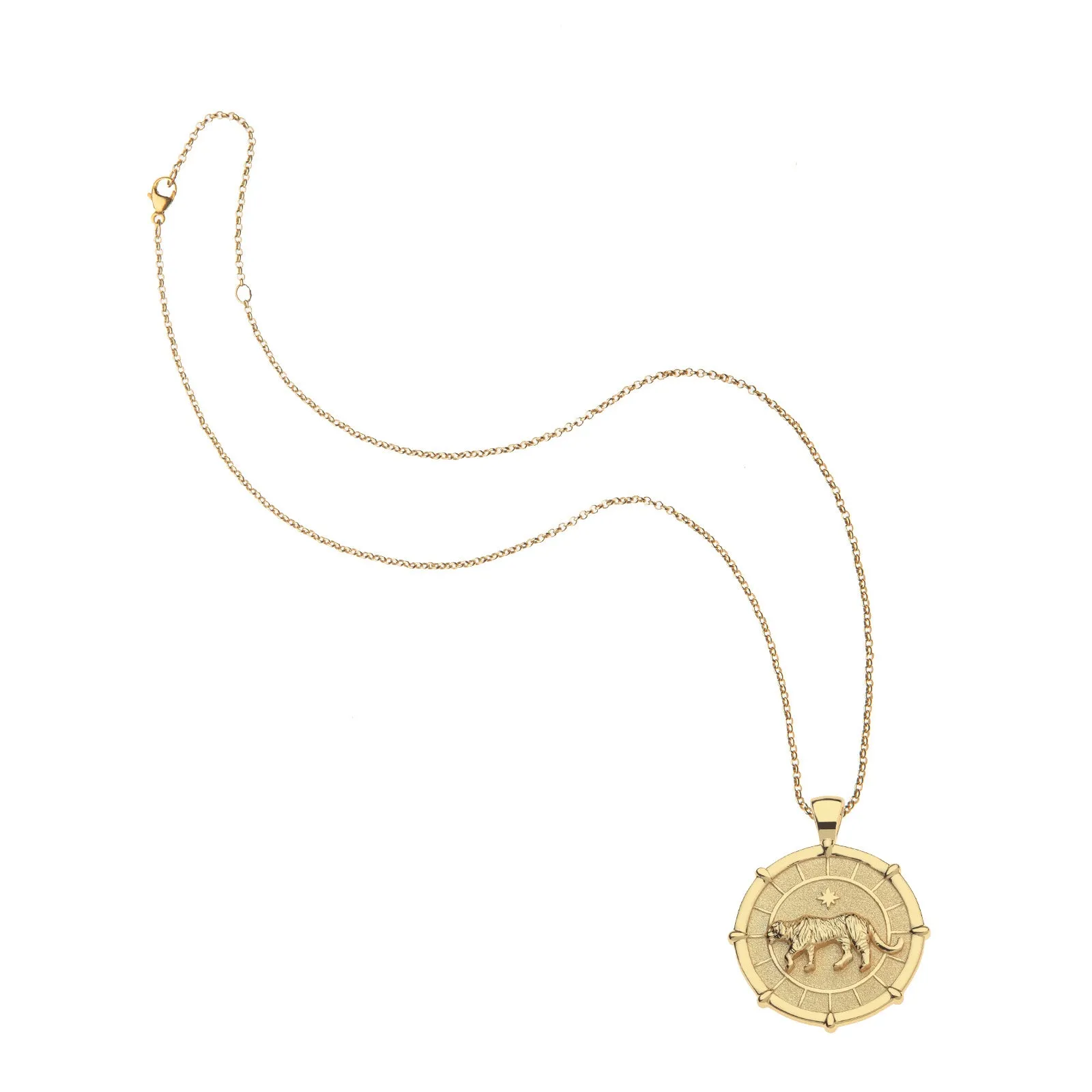 STRONG Tiger JW Original Pendant Coin sold by Jane Win product image thumbnail 5