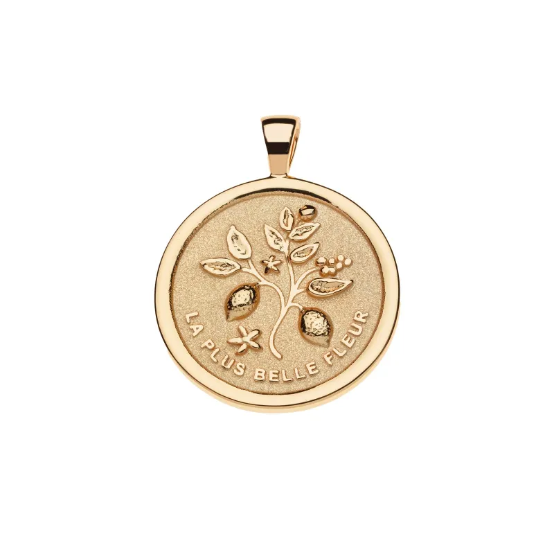GRATITUDE JW Original Pendant Coin sold by Jane Win