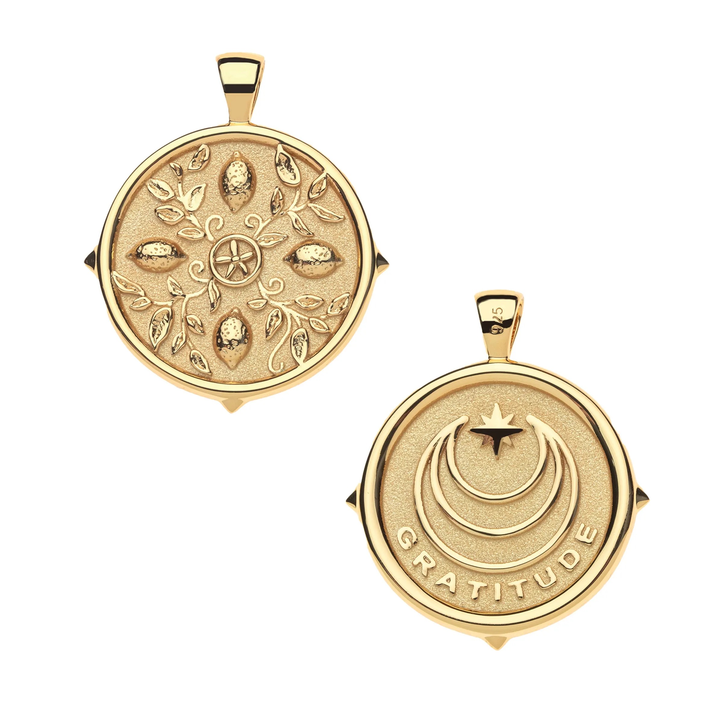 Jane Win x Giadzy GRATITUDE Citrus Tile JW Original Pendant Coin sold by Jane Win product image thumbnail 2