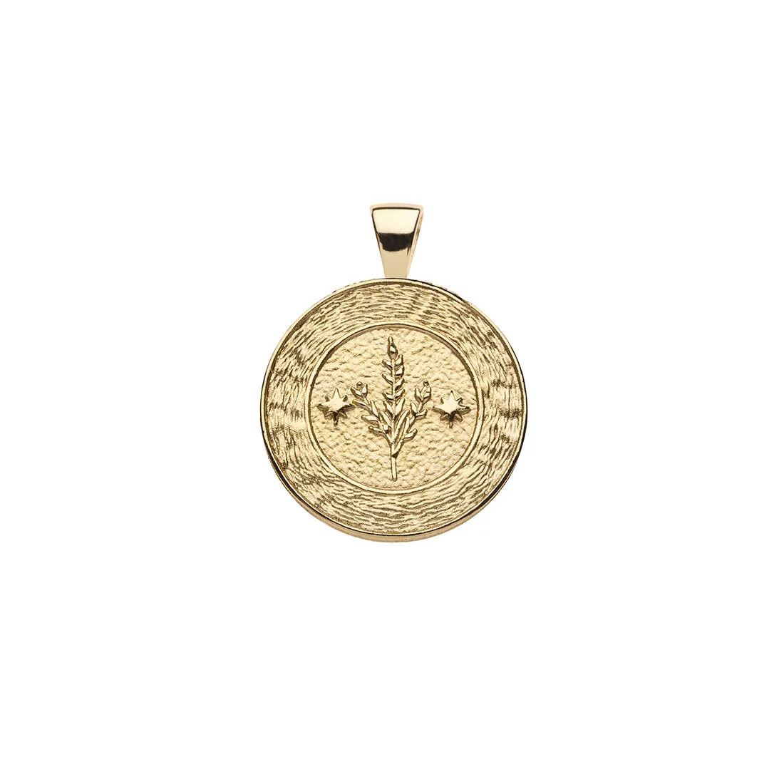 VIRGO JW Small Zodiac Pendant Coin - Aug 23 - Sep 22 sold by Jane Win