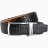 Alligator Black V2 Ratchet Belt 1 3/8" Strap [35mm] sold by Nexbelt