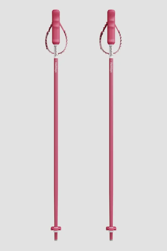 Halfdays x Yardsale Ski Poles made by Halfdays