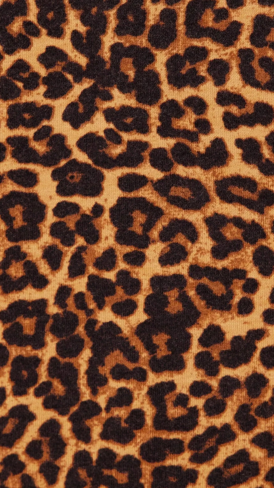 Wildcat Pima Knit Pullover Set sold by the cat's pajamas product image thumbnail 4