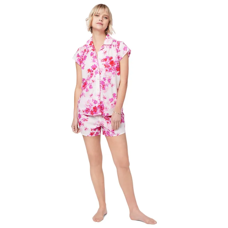 Aster Luxe Pima Short Set sold by the cat's pajamas