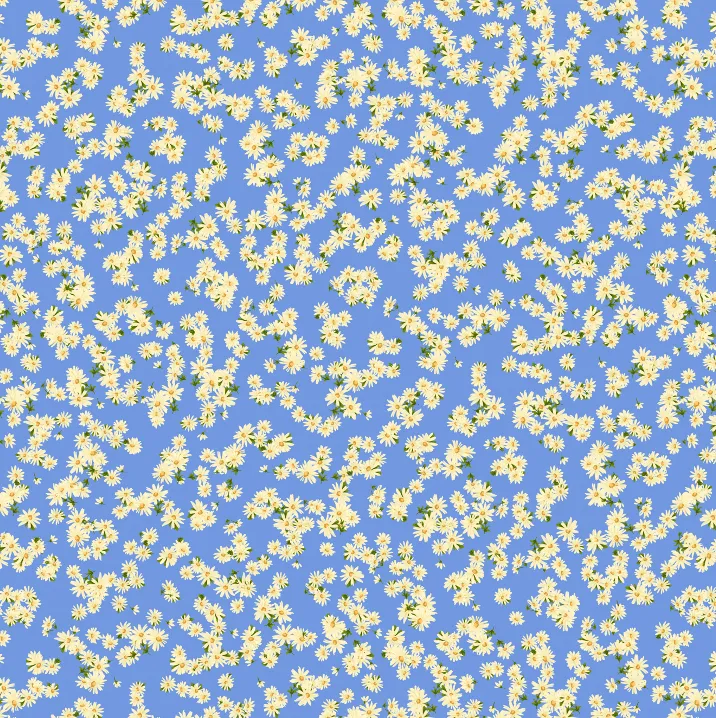 Marguerite Pima Knit Short Set sold by the cat's pajamas product image thumbnail 4