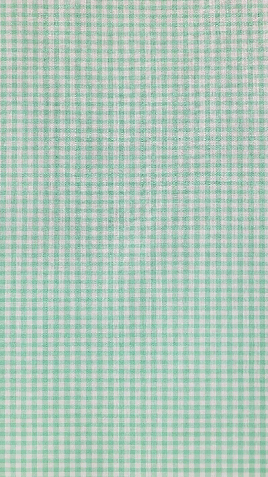 Classic Gingham Luxe Pima Short Set - Sea Green sold by the cat's pajamas product image thumbnail 4