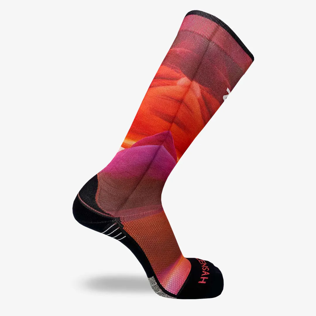 Nature Canyon Compression Socks (Knee-High) sold by Zensah product image thumbnail 3