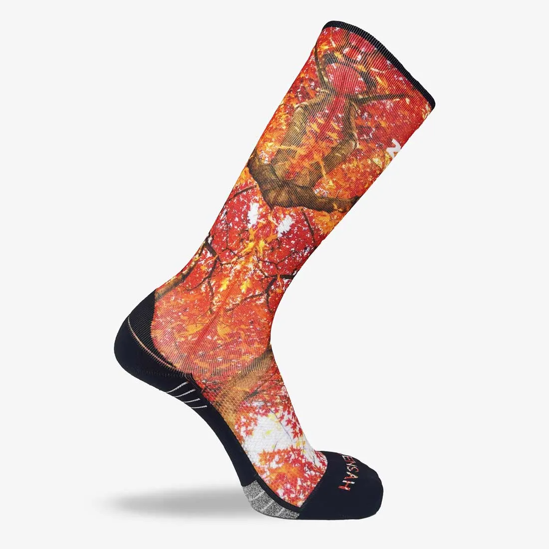 Autumn Trees Compression Socks (Knee-High) sold by Zensah product image thumbnail 2