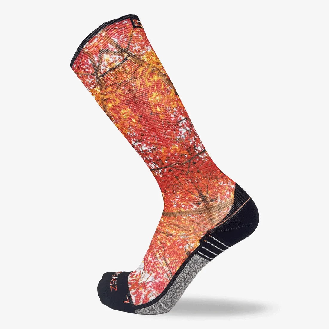 Autumn Trees Compression Socks (Knee-High) sold by Zensah