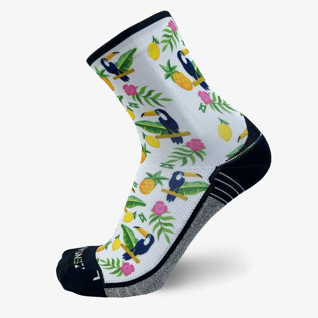 Toucans Socks (Mini-Crew) sold by Zensah