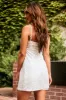 White Sleeveless Lace Bustier Mini Dress sold by Lime Lush