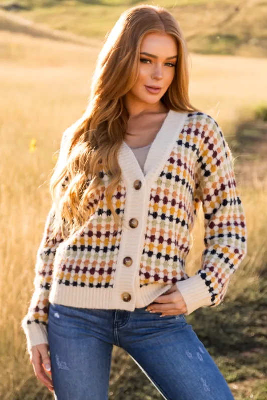 Beige Multicolor Botton Down Sweater Cardigan sold by Lime Lush