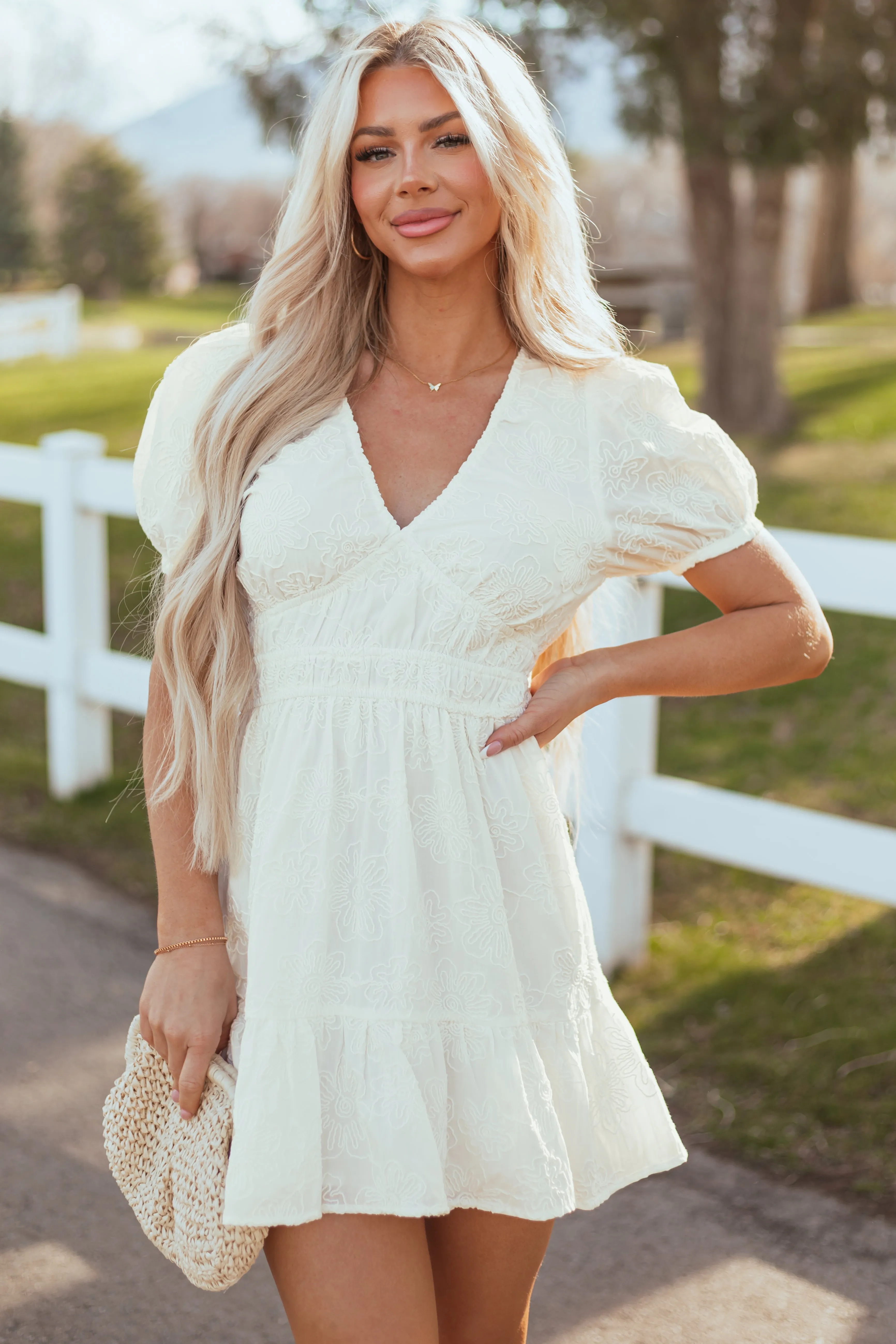 Ivory V Neck Floral Embroidered Mini Dress sold by Lime Lush product image thumbnail 2