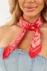 Ruby Paisley Multi Print Satin Bandana sold by Lime Lush