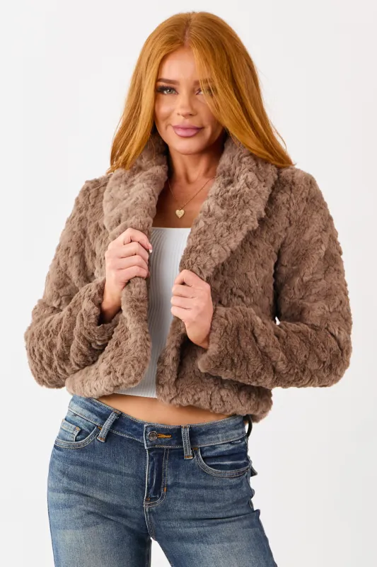 Taupe Teddy Faux Fur Shawl Collar Crop Jacket sold by Lime Lush