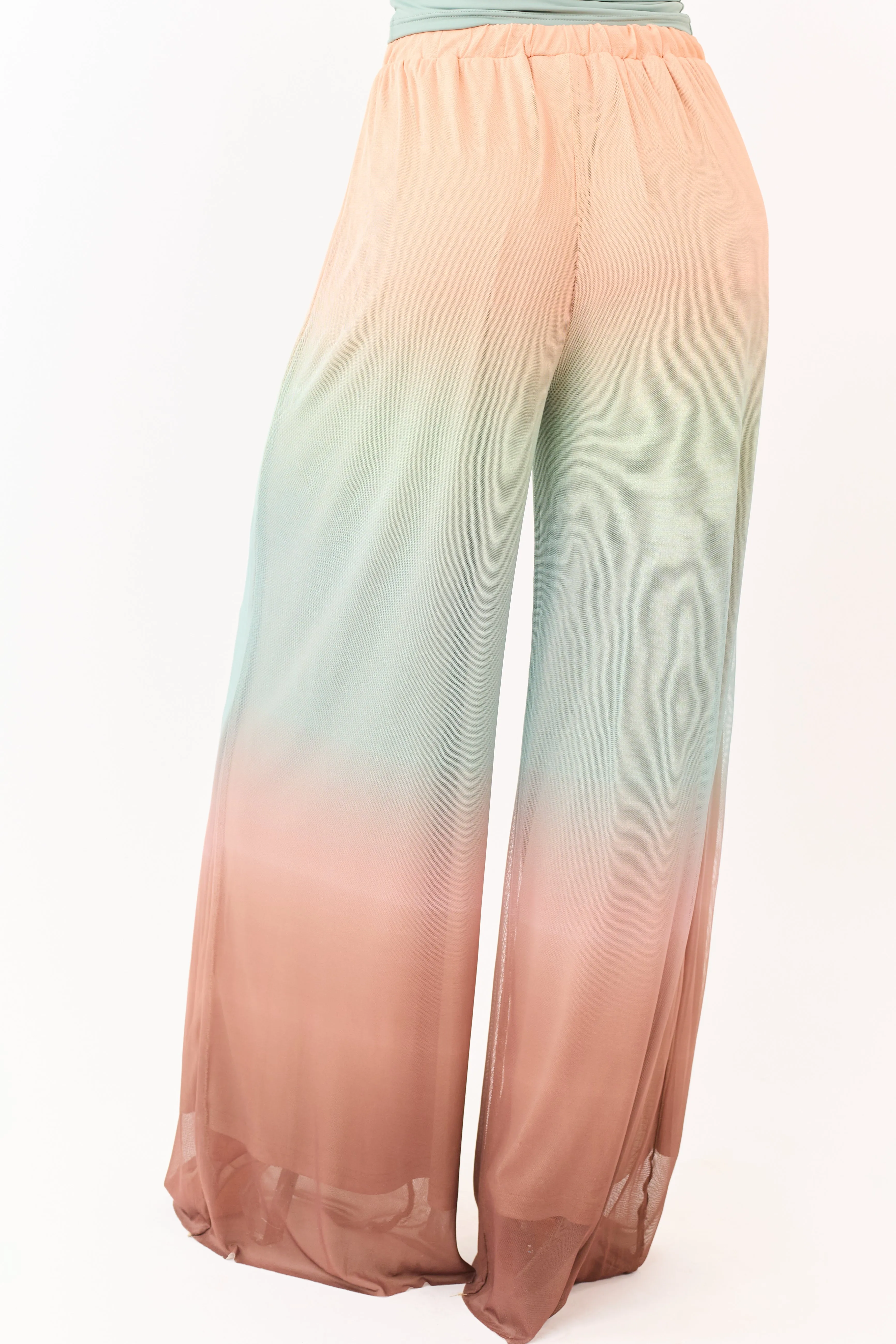Promesa Multicolor Ombre Mesh Palazzo Pants sold by Lime Lush product image thumbnail 4