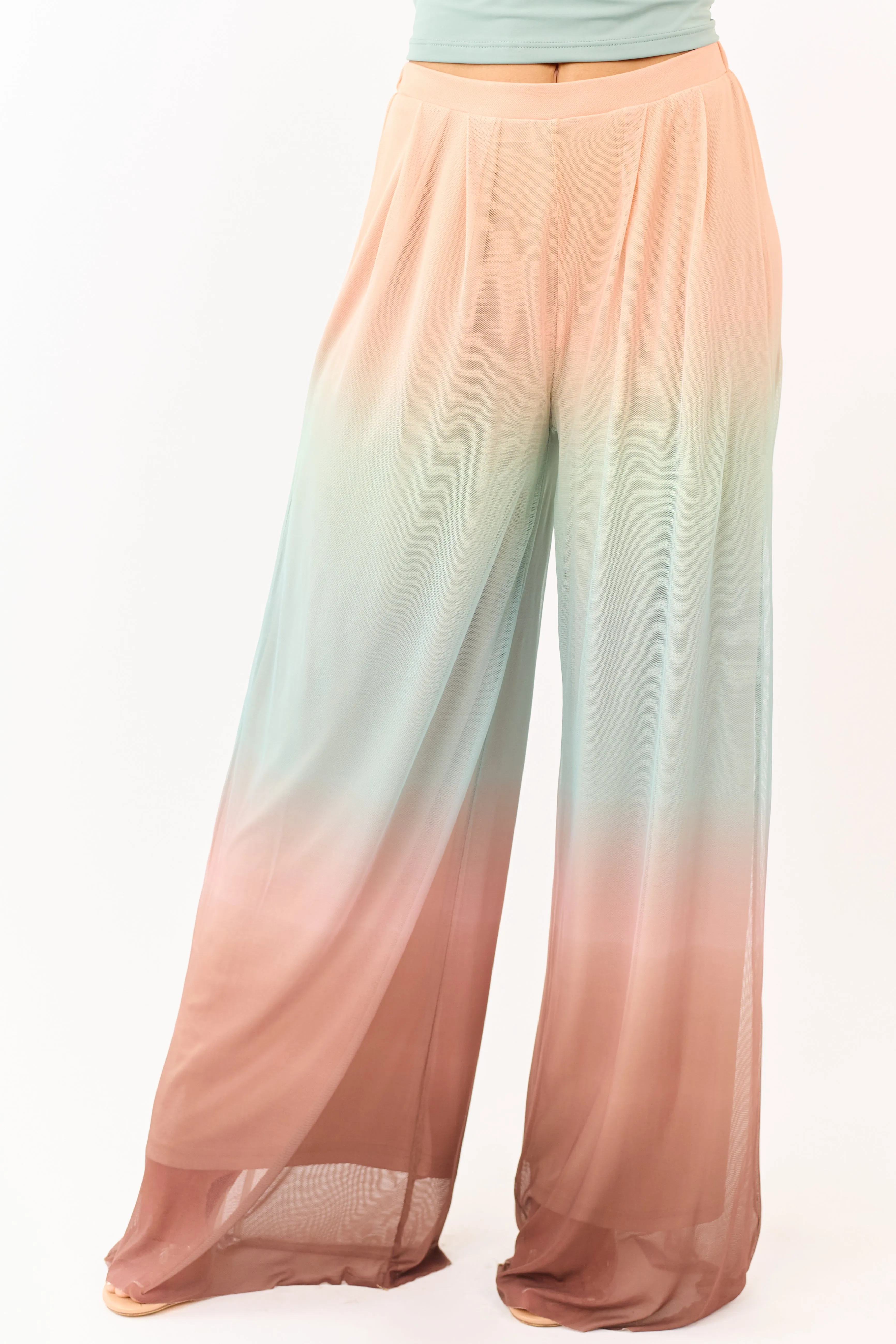 Promesa Multicolor Ombre Mesh Palazzo Pants sold by Lime Lush product image thumbnail 2