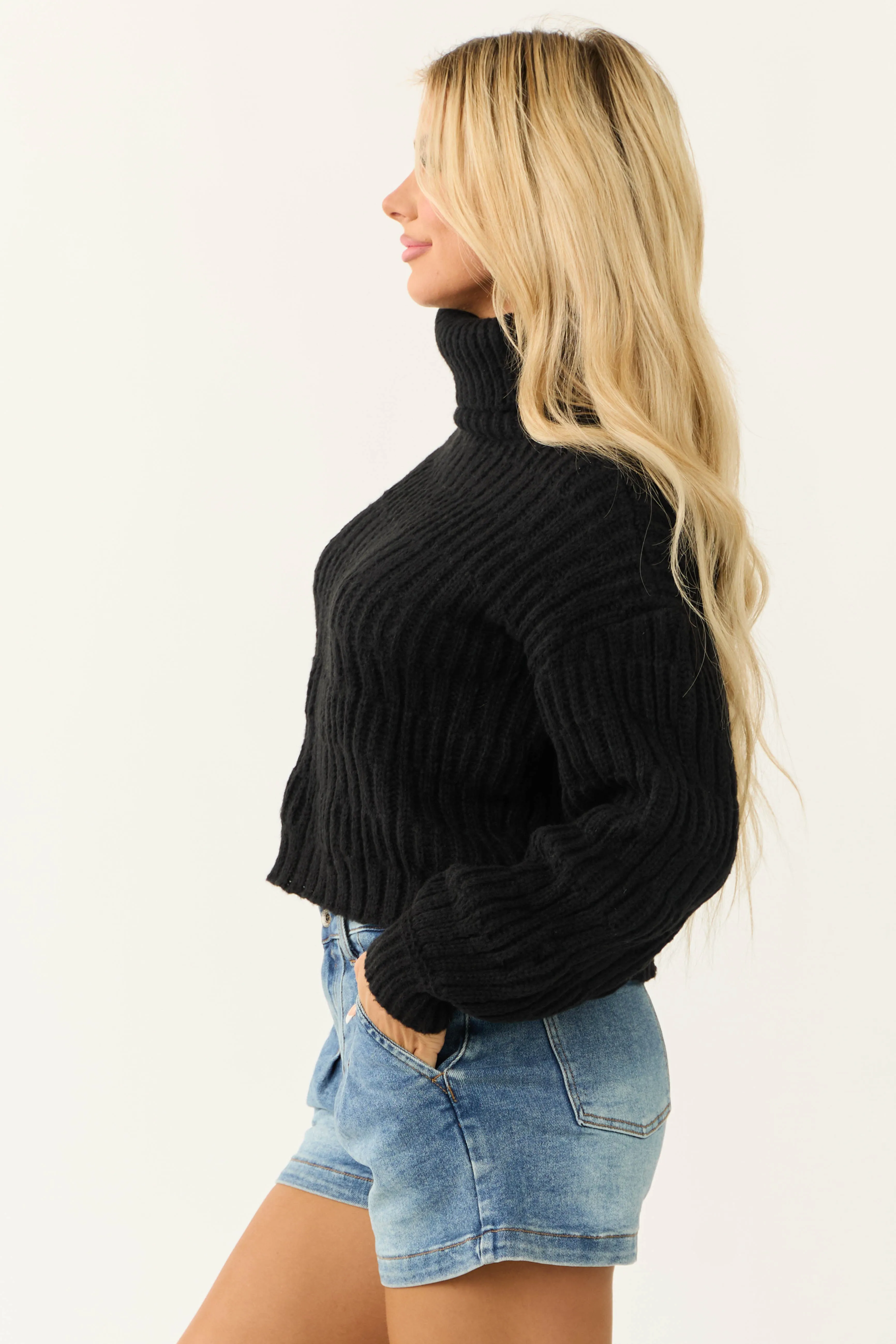 Black Soft Knit Textured Turtleneck Sweater sold by Lime Lush product image thumbnail 4
