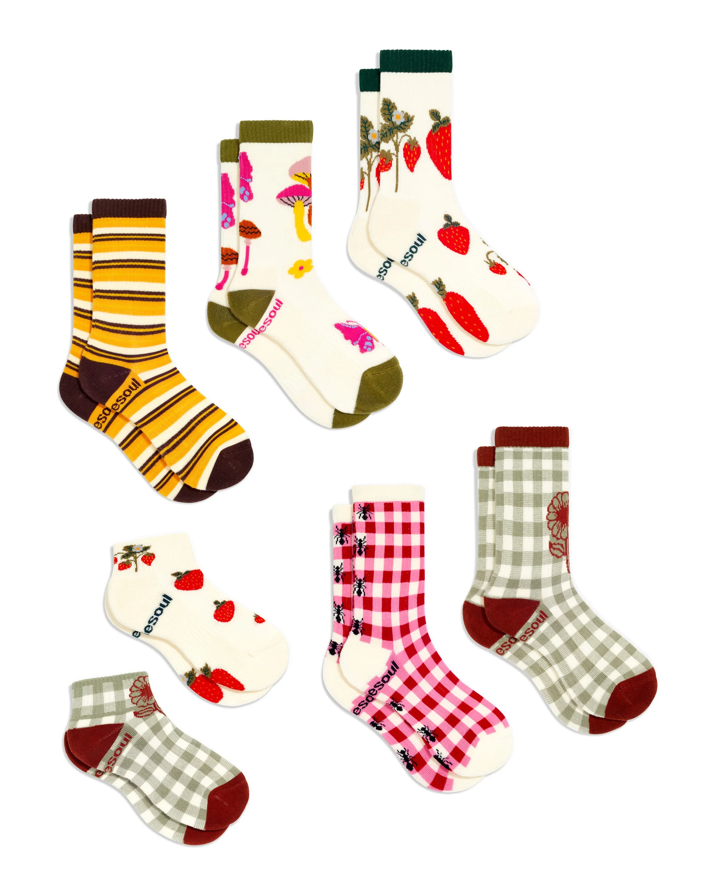 Taylor Collectors 6 Pack sold by doublesoul