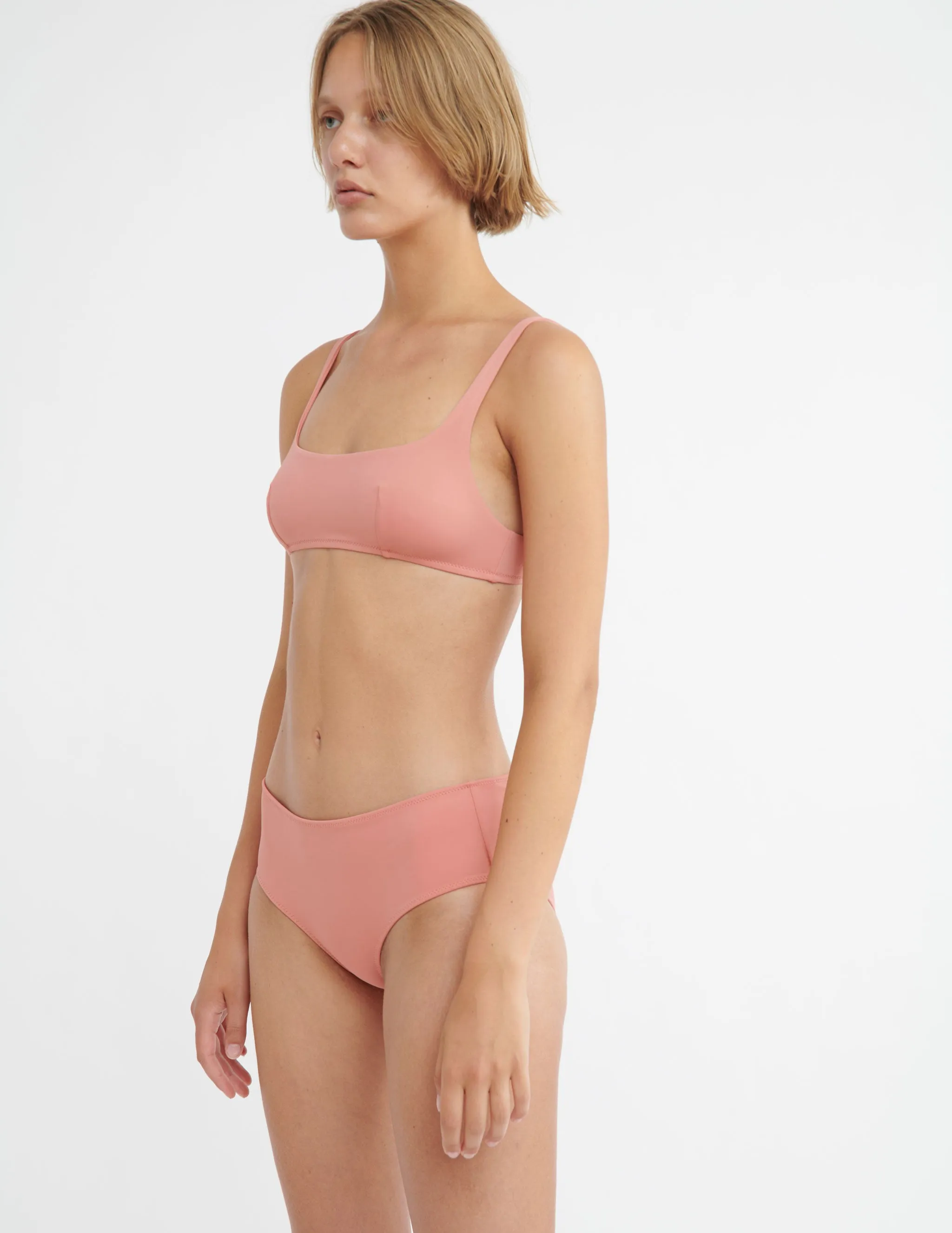 Ezra Hipster Begonia sold by ARAKS product image thumbnail 3