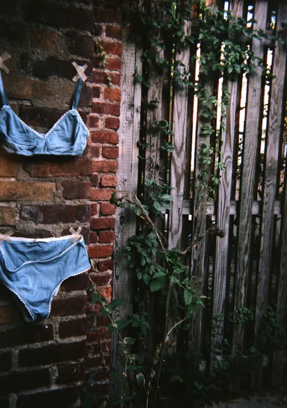 Photo by Julie Gilhart ~ Antonia Bralett & Josephine Hipster sold by ARAKS