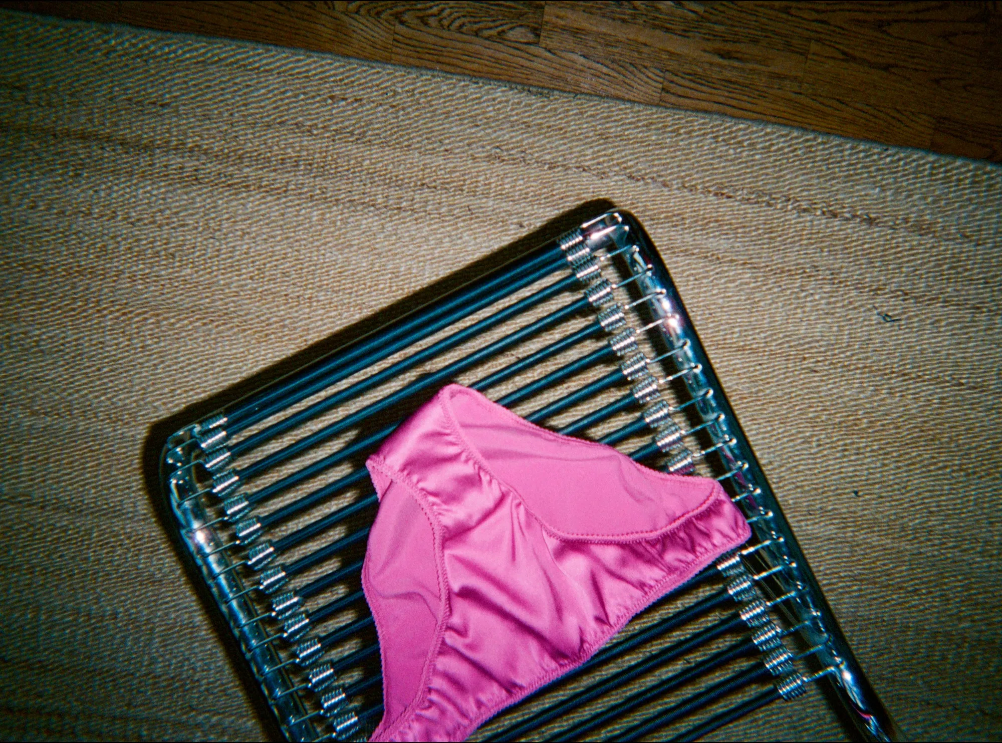 Photo by Sophie Lou Jacobsen ~ Gwyneth Panty sold by ARAKS