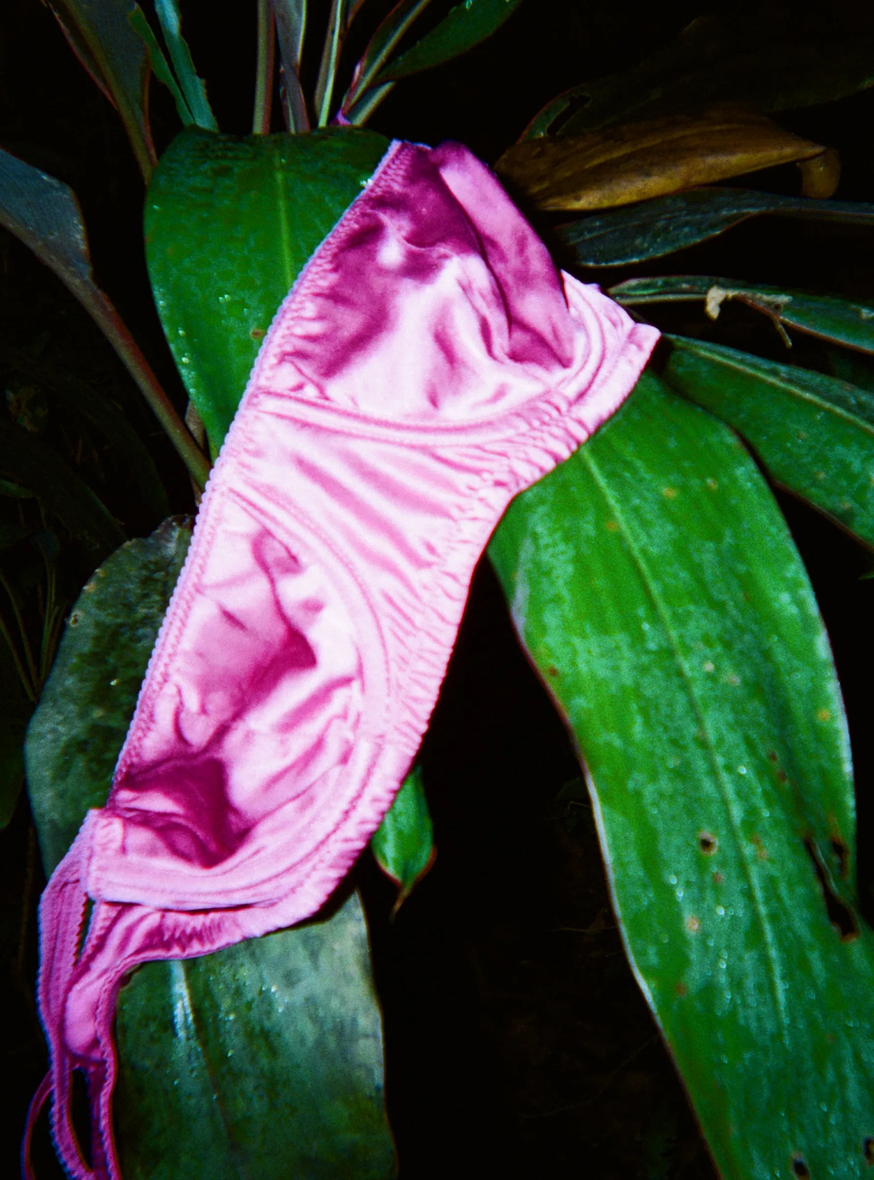 Photo by Olympia Gayot ~ Gita Bra sold by ARAKS