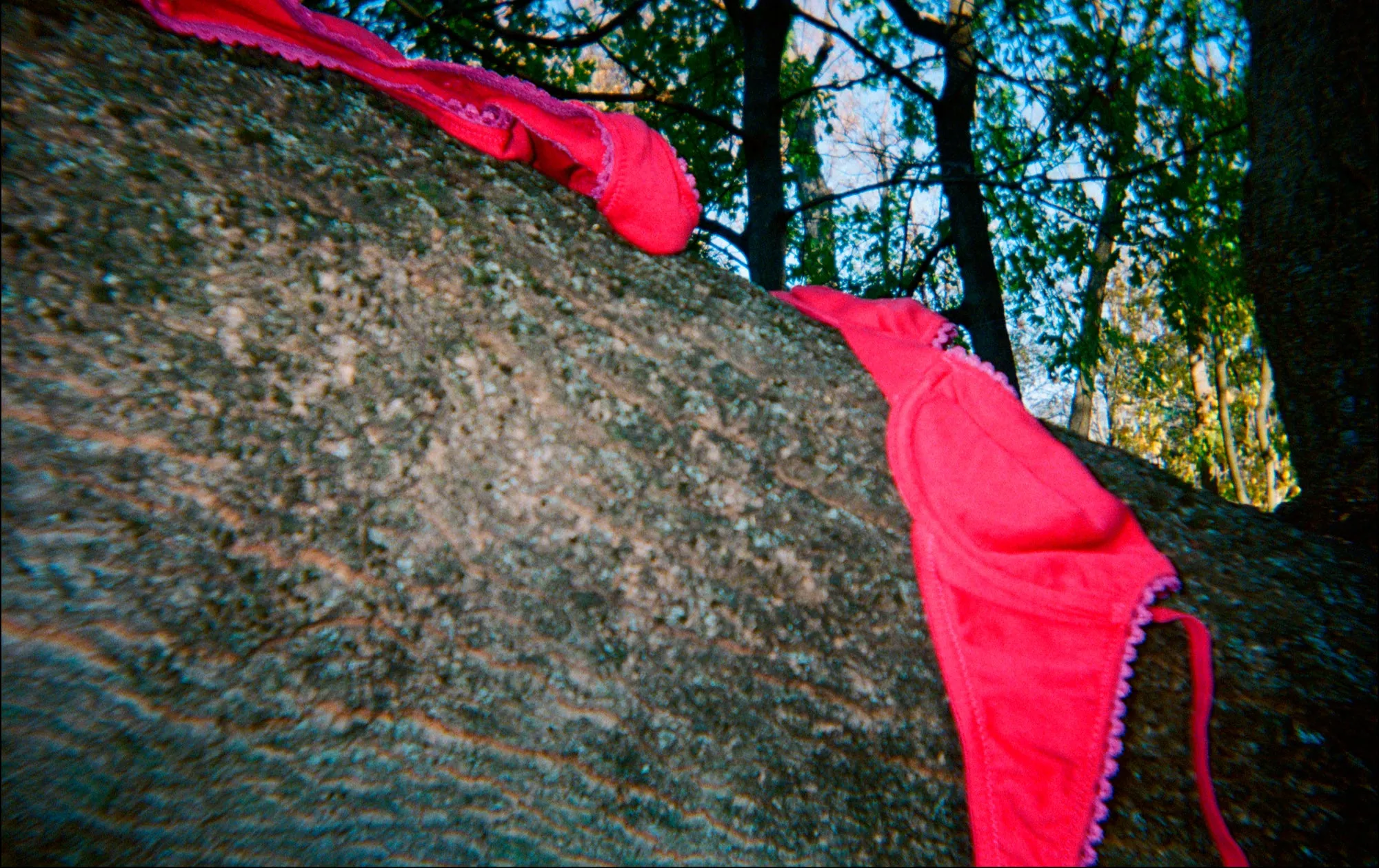 Photo by Julia Chiang ~ Sofia Bra and Isabella Panty sold by ARAKS