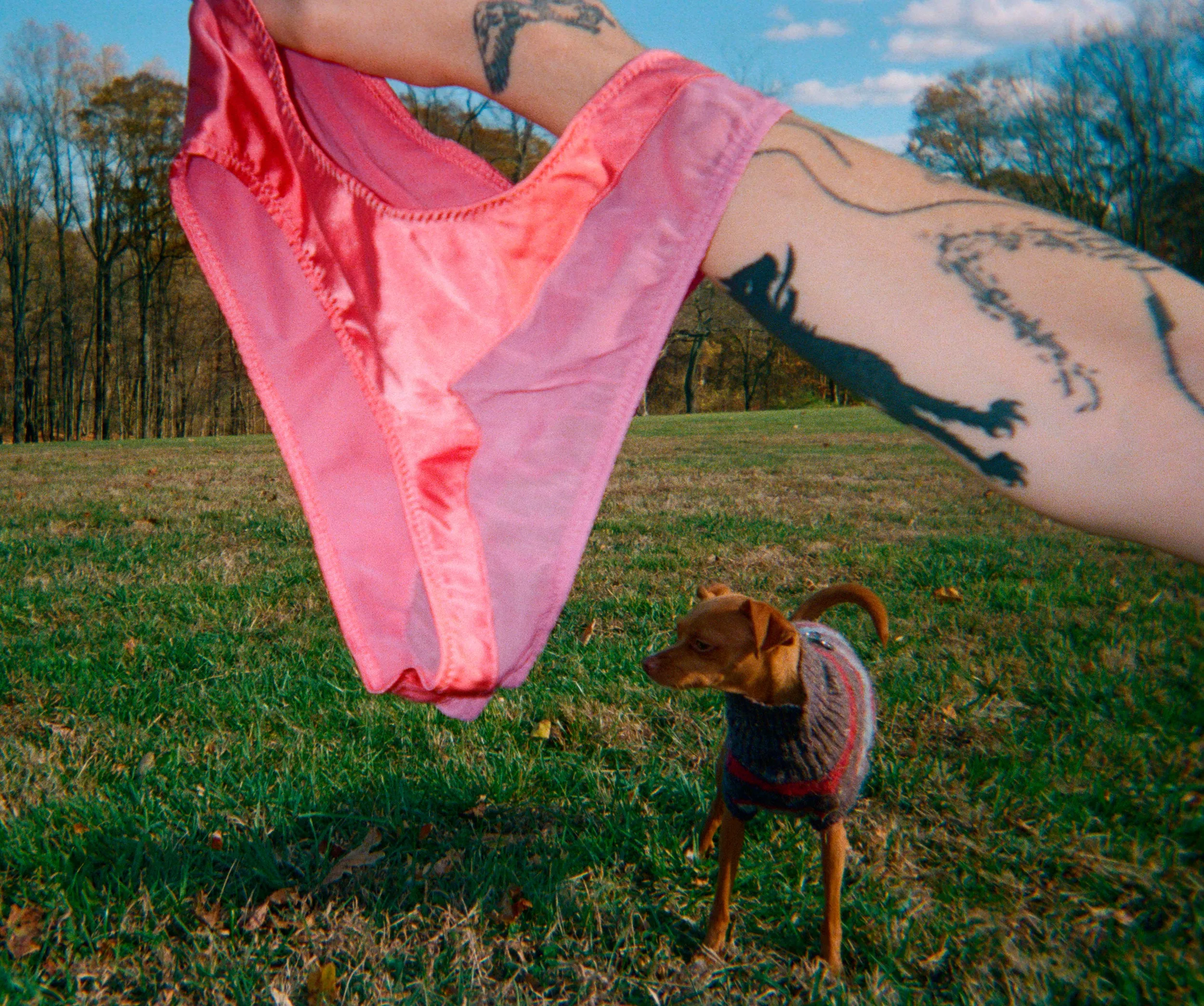 Photo by Quinn Wilson ~ Aaron Panty sold by ARAKS