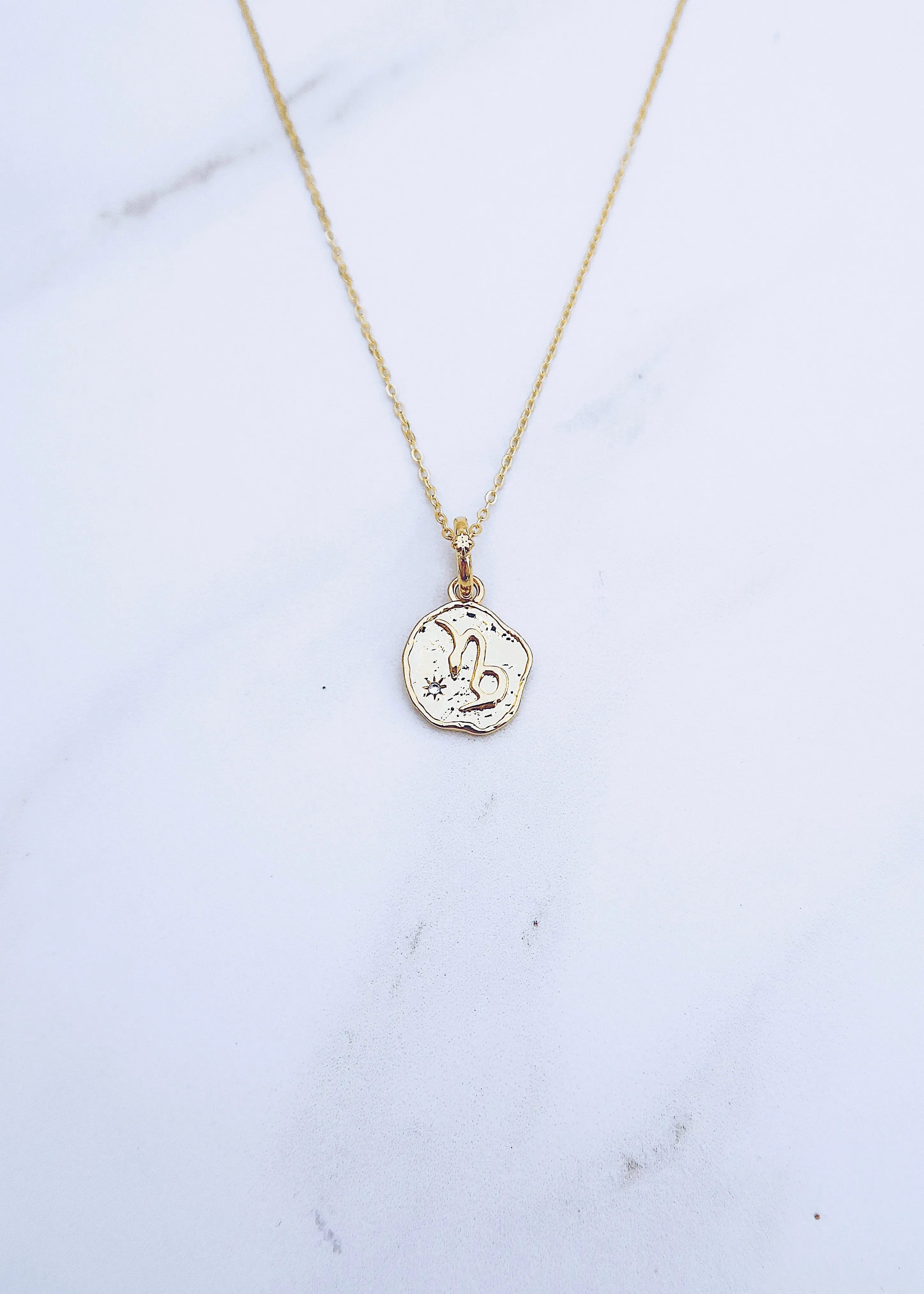 Capricorn Coin Necklace sold by Ten Wilde