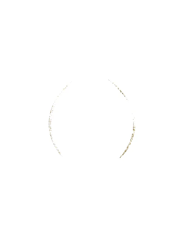 Thick Snake Necklace sold by Ten Wilde