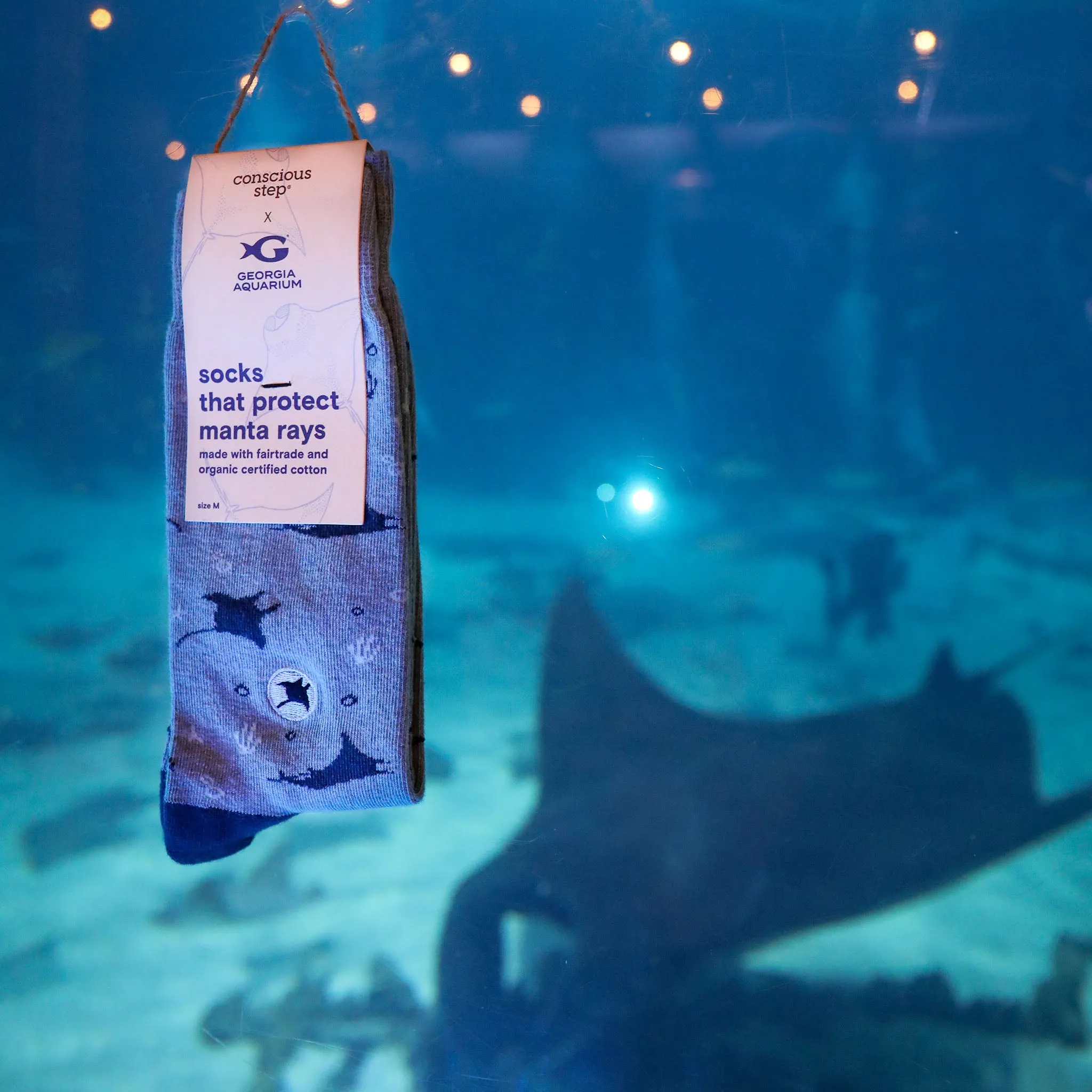 Socks that Protect Manta Rays sold by Conscious Step product image thumbnail 3
