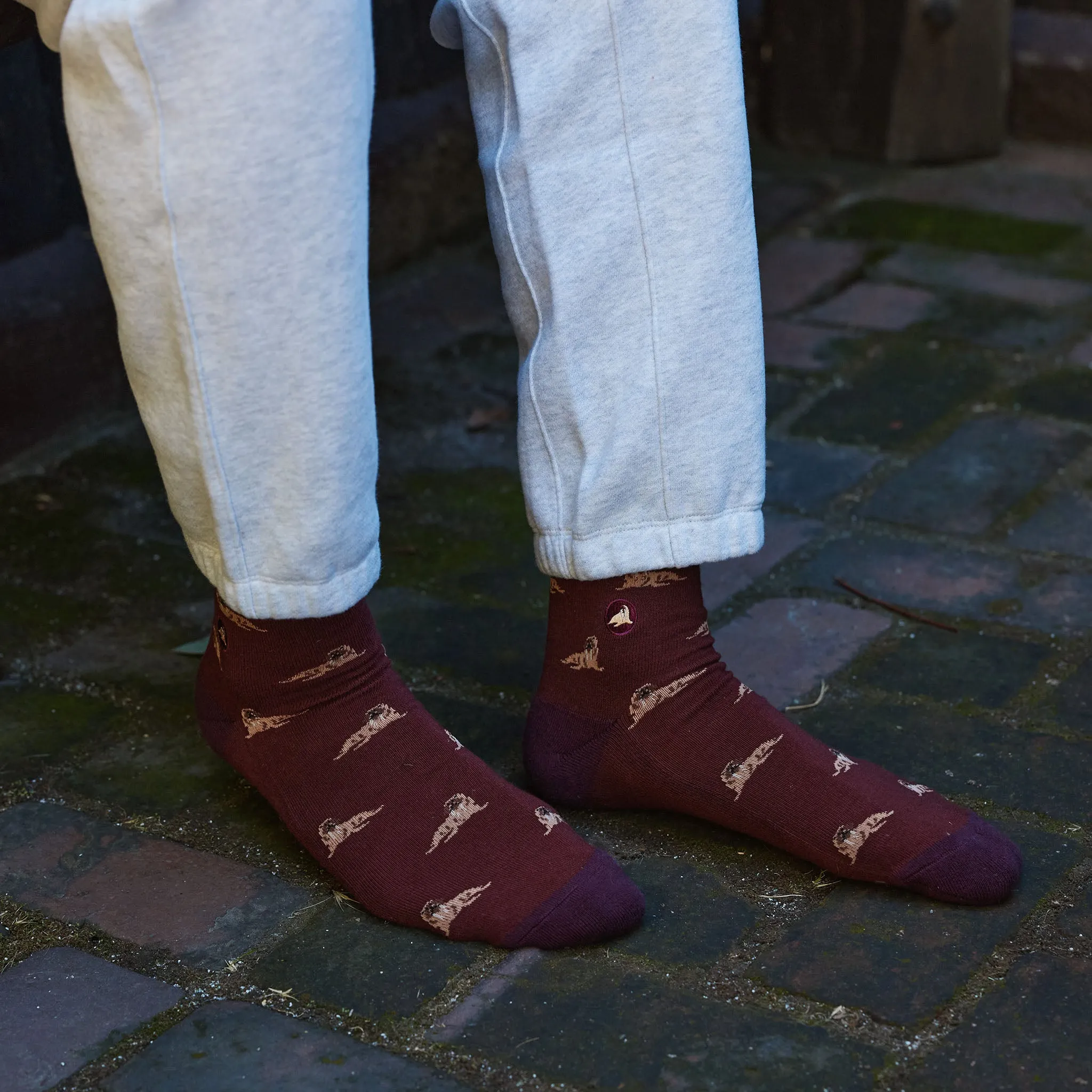 Socks that Protect Walruses sold by Conscious Step product image thumbnail 3
