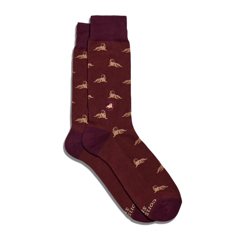 Socks that Protect Walruses sold by Conscious Step