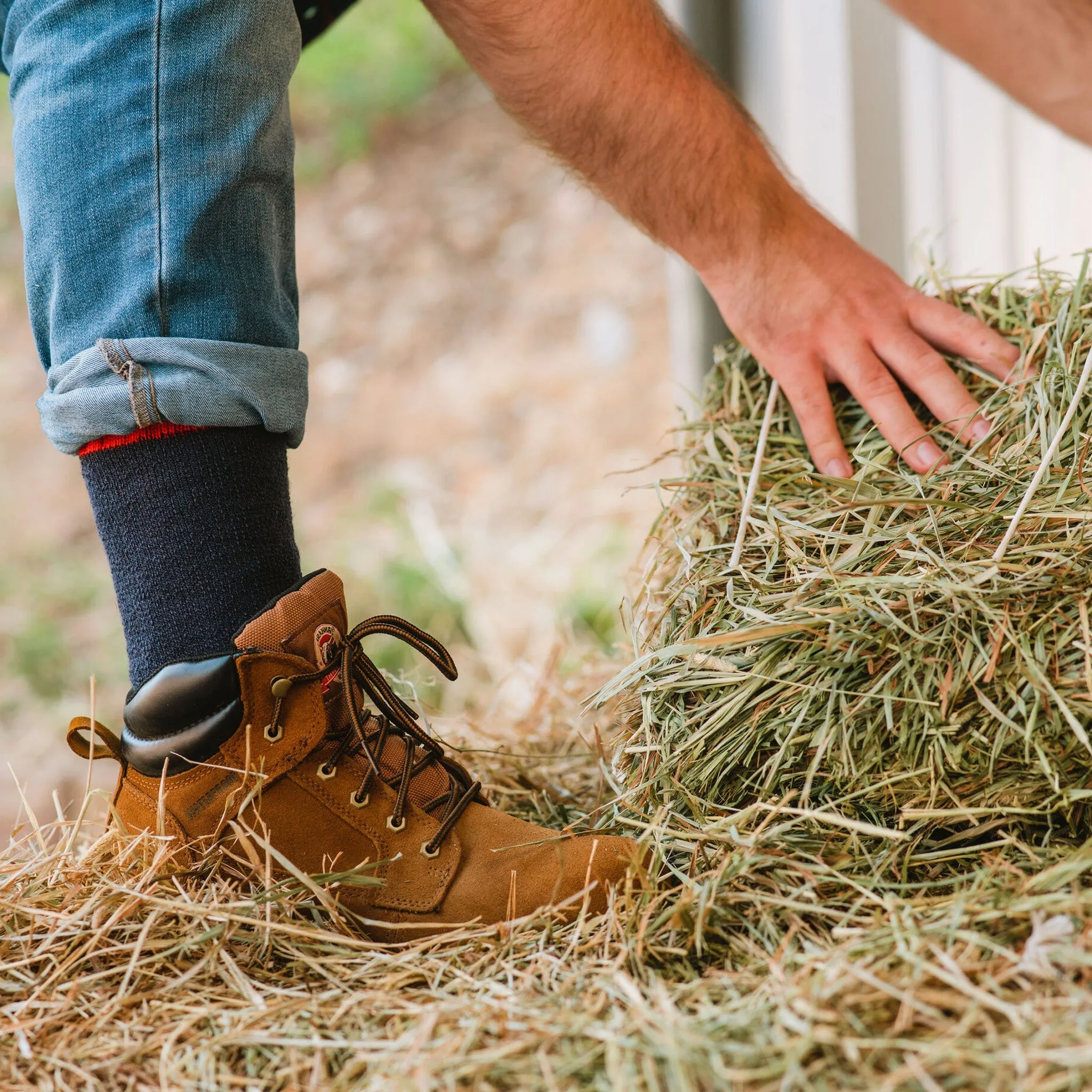 Men's Wick Dry Tamarack Extra-Heavyweight Mid-Calf Boot & Field Sock sold by Fox River product image thumbnail 2