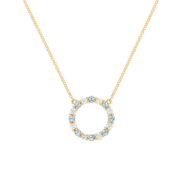 Personalized Rosecliff Circle Birthstone Necklace in 14k Gold sold by Haverhill