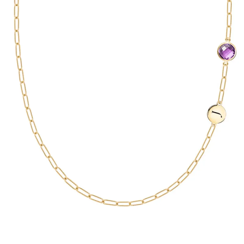 Personalized 1 Letter & 1 Grand Amethyst Adelaide Mini Necklace in 14k Gold (February) sold by Haverhill