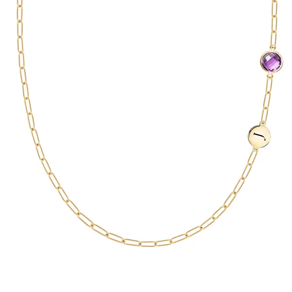 Personalized 1 Letter & 1 Grand Amethyst Adelaide Mini Necklace in 14k Gold (February) sold by Haverhill