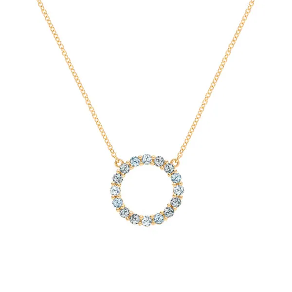 Personalized Rosecliff Circle Birthstone Necklace in 14k Gold sold by Haverhill
