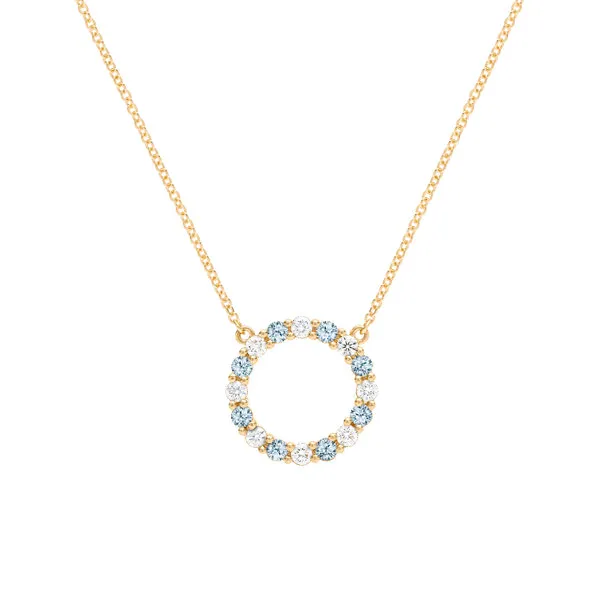 Personalized Rosecliff Circle Birthstone Necklace in 14k Gold sold by Haverhill