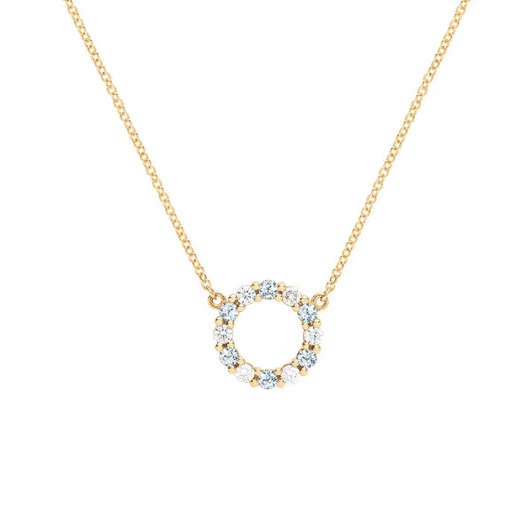 Personalized Rosecliff Small Circle Birthstone Necklace in 14k Gold sold by Haverhill