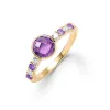 Rosecliff Grand Amethyst Ring in 14k Gold (February) sold by Haverhill