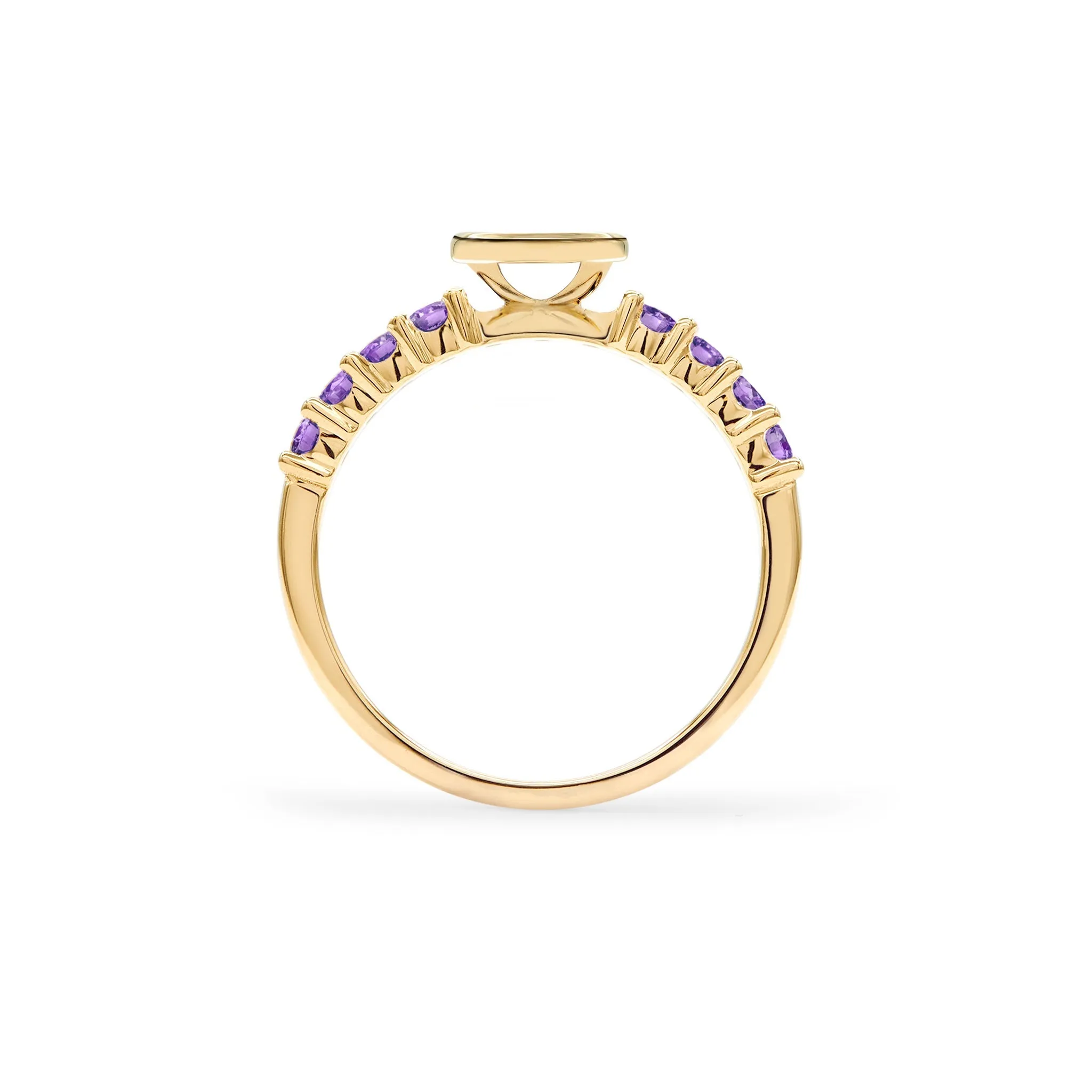 Rosecliff Letter Amethyst Ring in 14k Gold (February) sold by Haverhill product image thumbnail 4