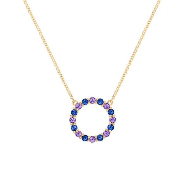 Personalized Rosecliff Circle Birthstone Necklace in 14k Gold sold by Haverhill