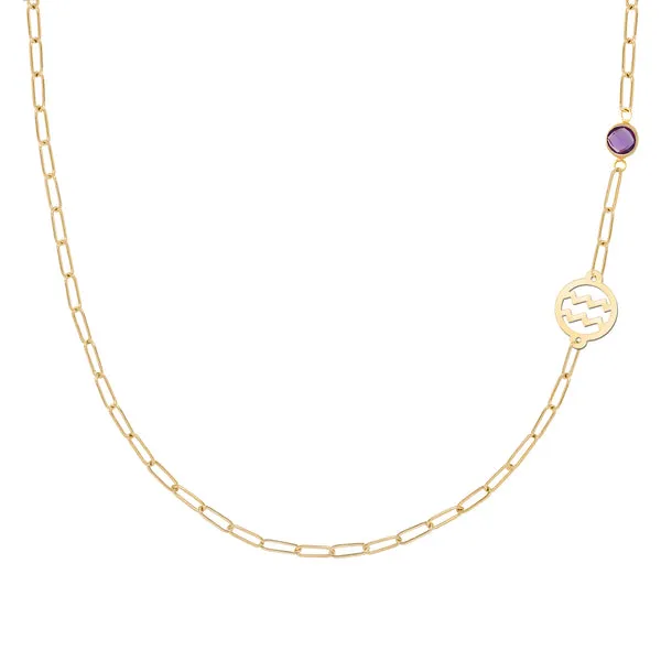 Personalized Aquarius & Birthstone Necklace on Adelaide Mini in 14k Gold sold by Haverhill