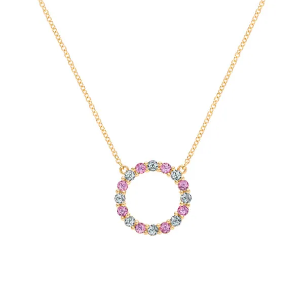 Personalized Rosecliff Circle Birthstone Necklace in 14k Gold sold by Haverhill